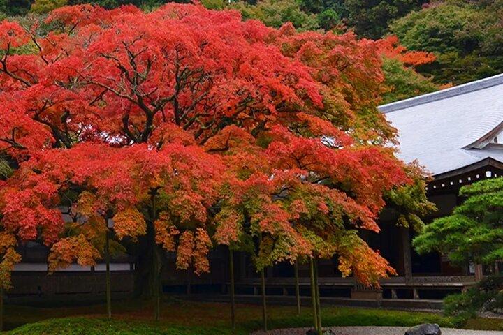 白糸の滝 雷山寺 福岡から桜井夫婦岩ツアー