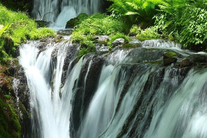 白糸の滝 雷山寺 福岡から桜井夫婦岩ツアー