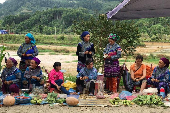 Desde Hanoi : Experiencia Sapa de 2 días con Trekking & Homestay
