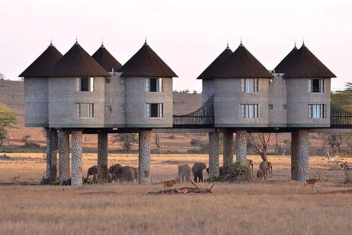 3 Days Private Safari To Saltlick Lodge From Nairobi