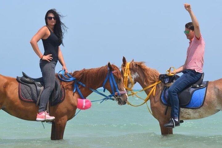 Hurghada : Reiten 2 Stunden Meer & Wüste mit Transfer