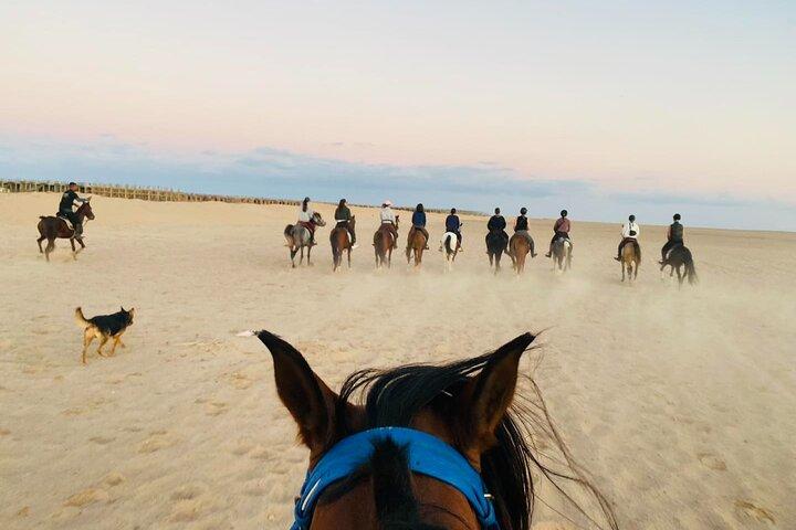 Hurghada : Reiten 2 Stunden Meer & Wüste mit Transfer
