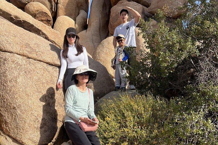 Joshua Tree National Park Sightseeing Adventure Tour
