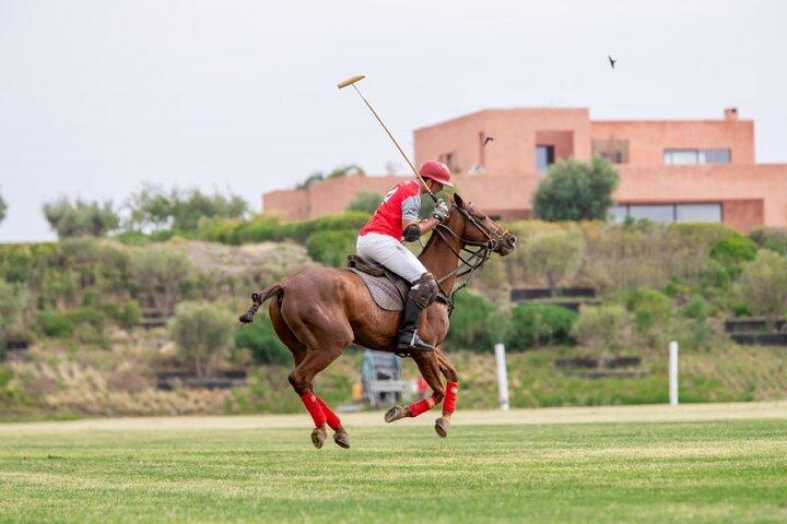 Marrakech Polo Sport - The kings Sport