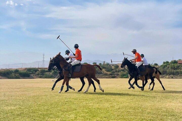 Marrakech Polo Sport - The kings Sport