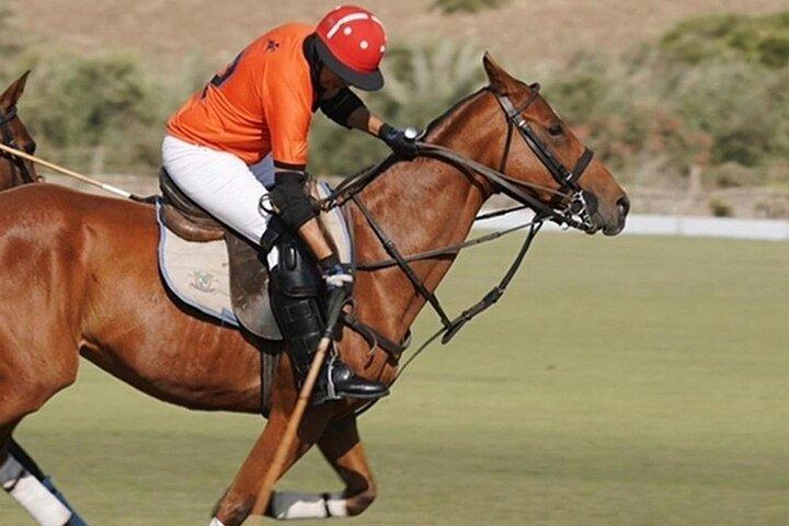 Marrakech Polo Sport - The kings Sport