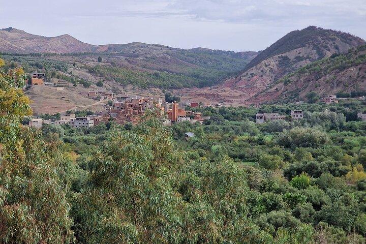 Ourika Day Trip from Marrakech Hidden Oasis and Berber Culture