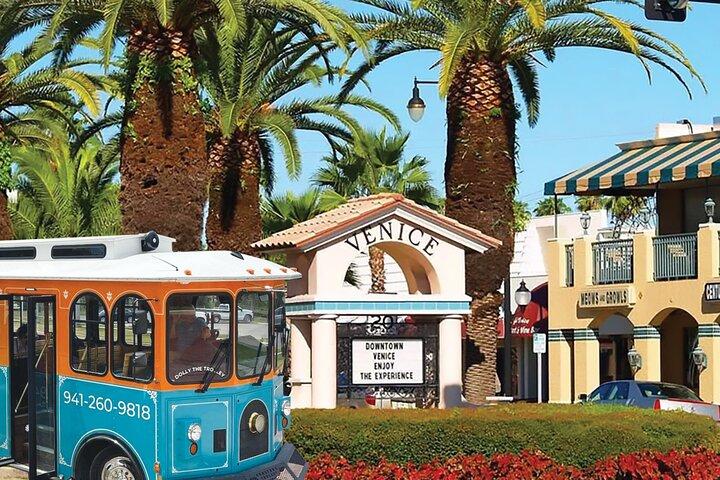 Tour in tram della città di Venezia