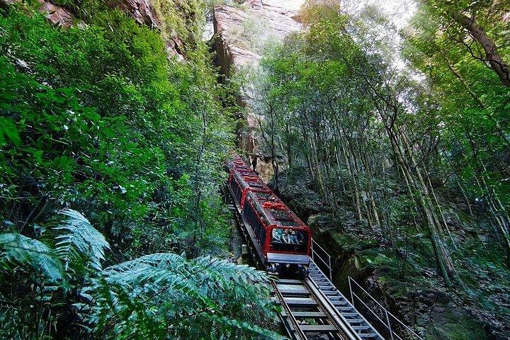 Piccolo gruppo: montagne blu con zoo, foto koala e mondo panoramico