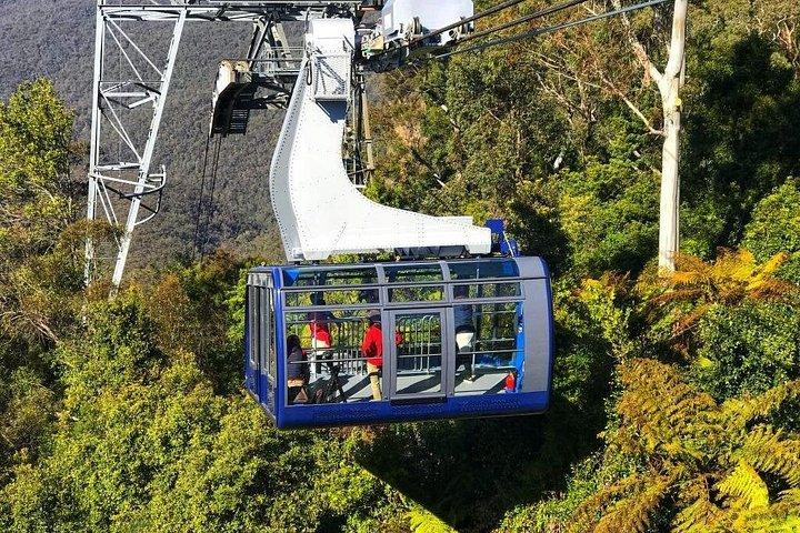 Piccolo gruppo: montagne blu con zoo, foto koala e mondo panoramico