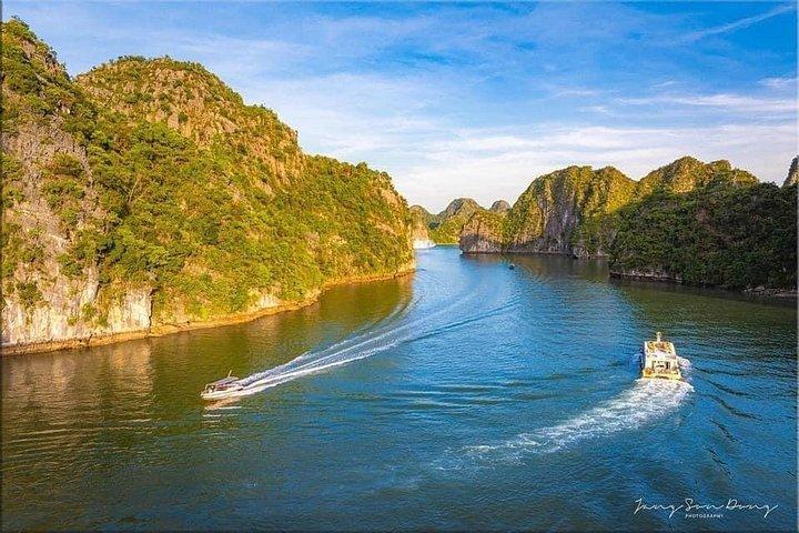 キャットバ島： 蘭河湾1日ツアー（豪華クルーズ付き）