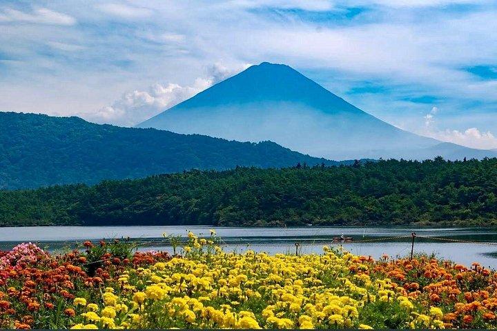 Mt Fuji & Hakone tilpasselig privat tur med Engelsk chauffør