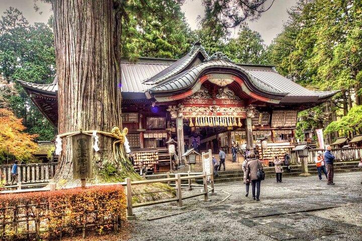 Mt Fuji & Hakone tilpasselig privat tur med Engelsk chauffør