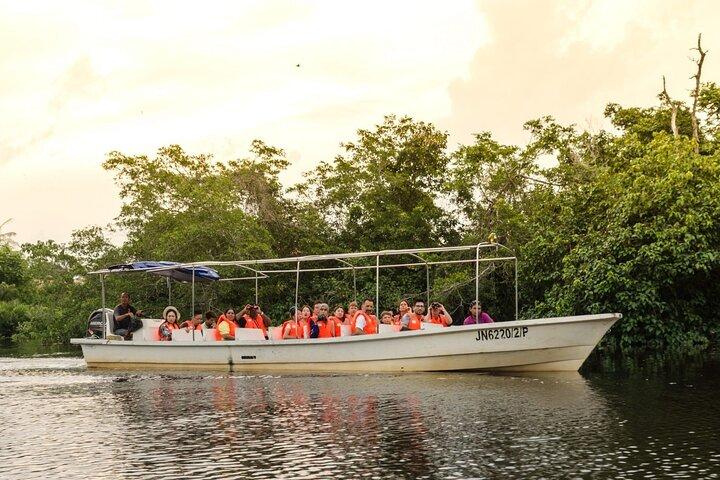Kota Kinabalu City Tour and Klias River Cruise Fireflies Sabah