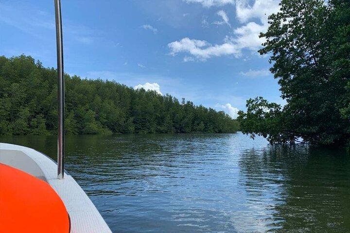 Kota Kinabalu City Tour and Klias River Cruise Fireflies Sabah