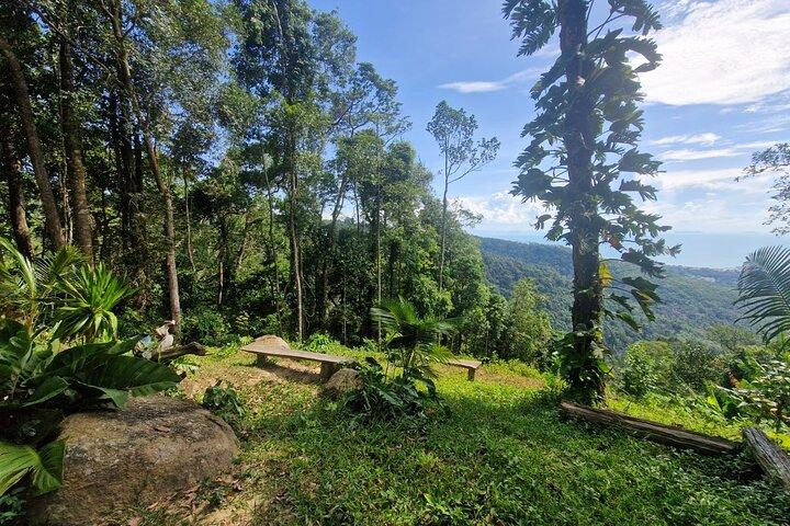 Epic Koh Samui Jungle Tour em ATV Quads