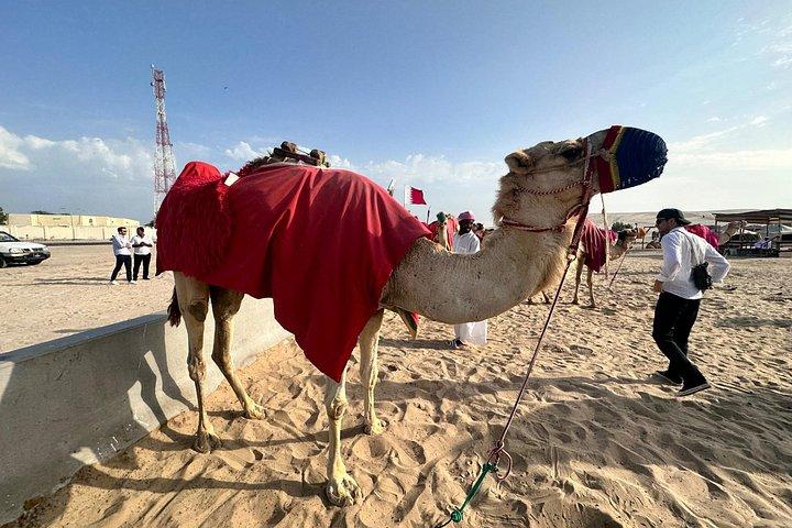 Dune Buggy Safari with Camel Ride