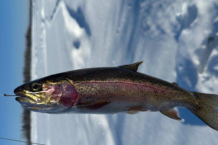 Ice Fishing in Fairbanks