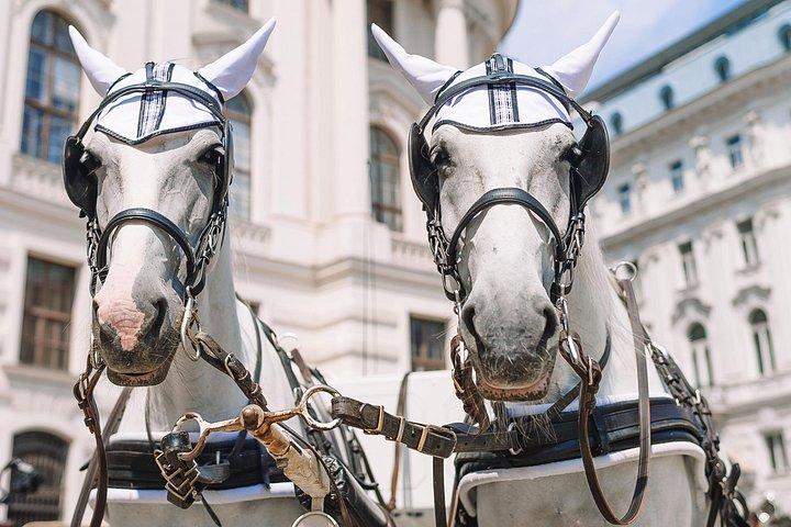 Vienna's Hidden Gems: A Self-Guided Imperial Adventure