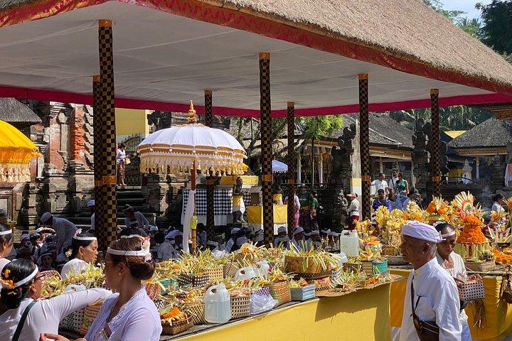 Ubud Privat tur: Monkey Forest, Rice Terrace, Tempel, Vandfald