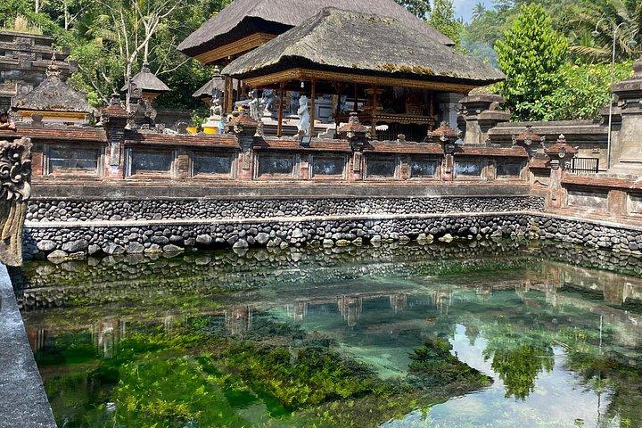 Ubud Privat tur: Monkey Forest, Rice Terrace, Tempel, Vandfald
