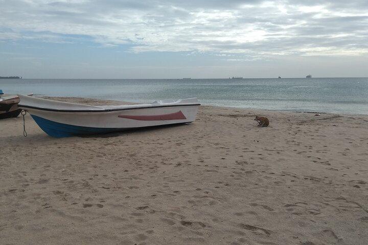 Excursion d'une journée à Trincomalee au départ de Kandy