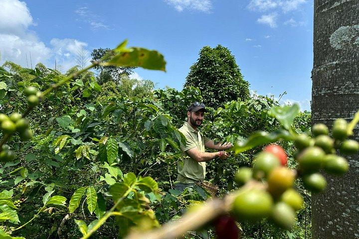 Coffee Farm & Santa Rosa Hot Springs Experience