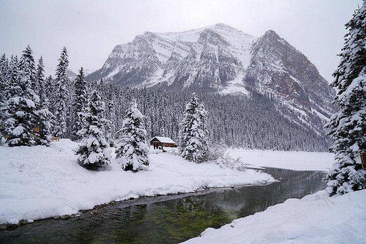 Discover Lake Louise and Yoho In Winter
