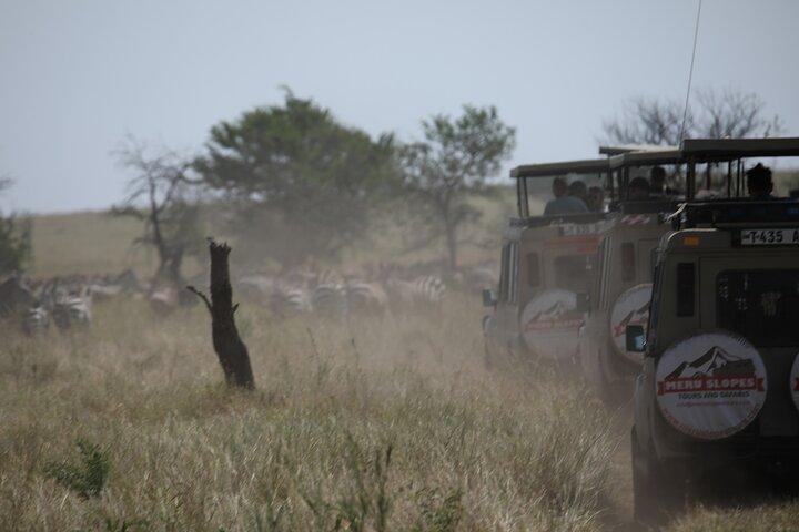 Privado 6 Días Gran Wildebeest Migración Ndutu Temporada de parto