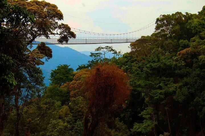 Nyungwe-Nationalpark: Eine 3-tägige Wildnisreise