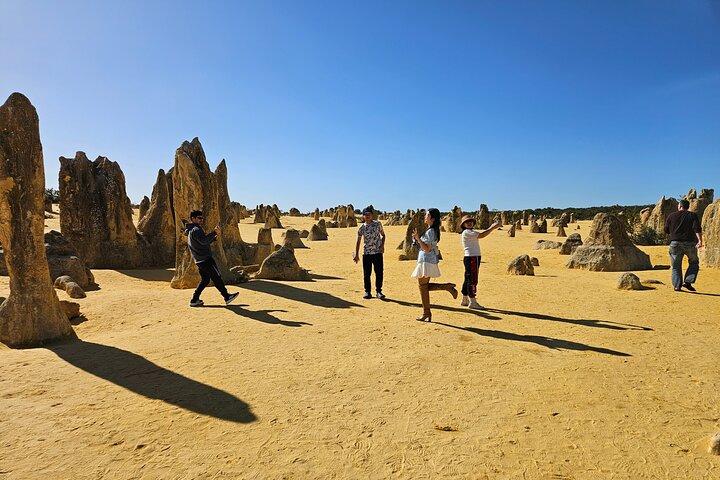 Visite privée de Pinnacle Day-Tour; Pinnacles, cabane à homard et Lancelin