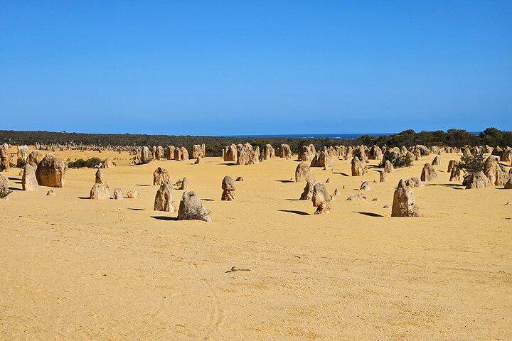 Private Pinnacle Tagestour; Pinnacles, Hummerhütte & Lancelin