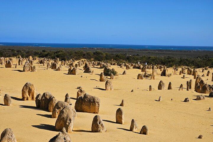 Private Pinnacle Tagestour; Pinnacles, Hummerhütte & Lancelin