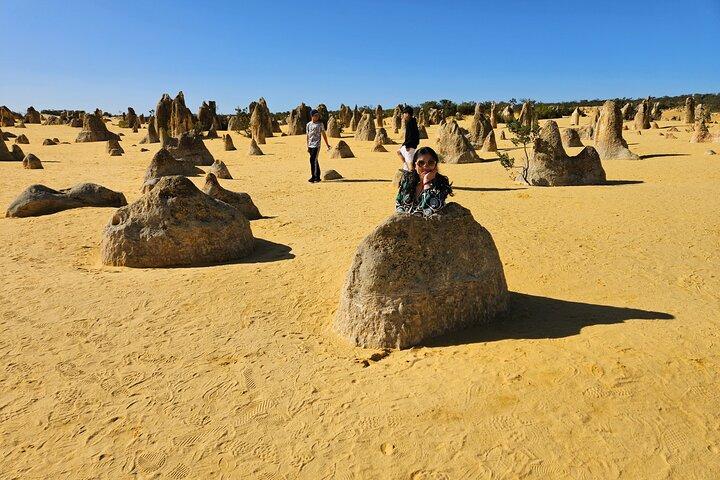 Private Pinnacle Tagestour; Pinnacles, Hummerhütte & Lancelin