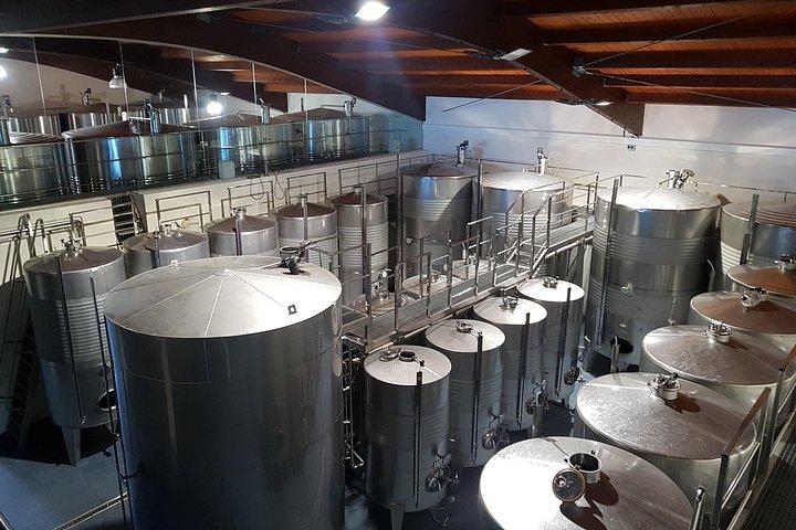 Half day Txakoli Wine and Getaria Tour