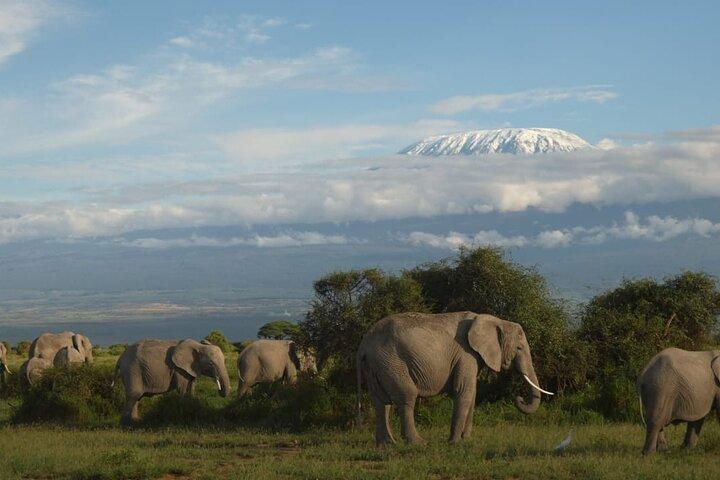3 dias explorando o Parque Nacional Amboseli