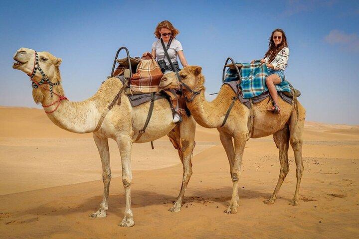 Doha: Sunset Desert Safari, ATV, Kamel, Sandboarding & Binnensee