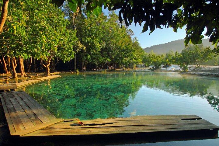 Tiger Cave and Emerald Pool - Excursão pela selva