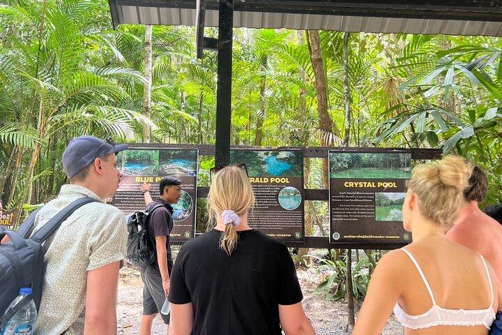 Tiger Cave and Emerald Pool - Excursão pela selva