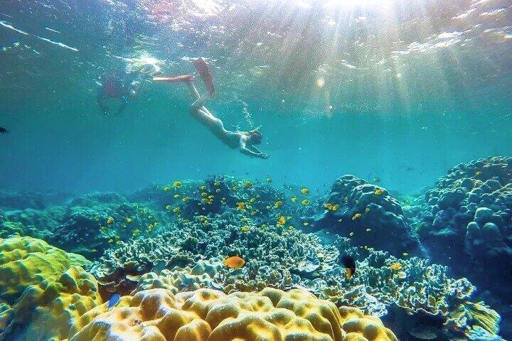 Similan Islands Tagestour von Phuket und Khaolak