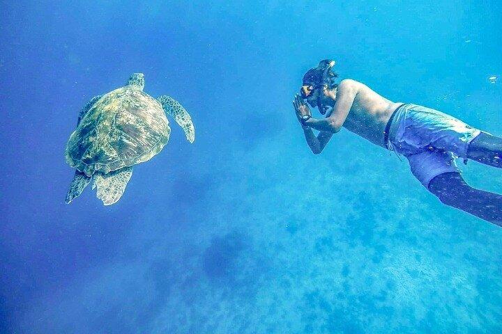 プーケットおよびカオラックからのシミラン諸島日帰りツアー