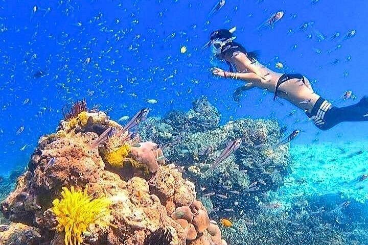 プーケットおよびカオラックからのシミラン諸島日帰りツアー