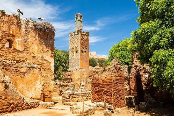 Private Rabat Tour with Chellah Archaeological Site Access