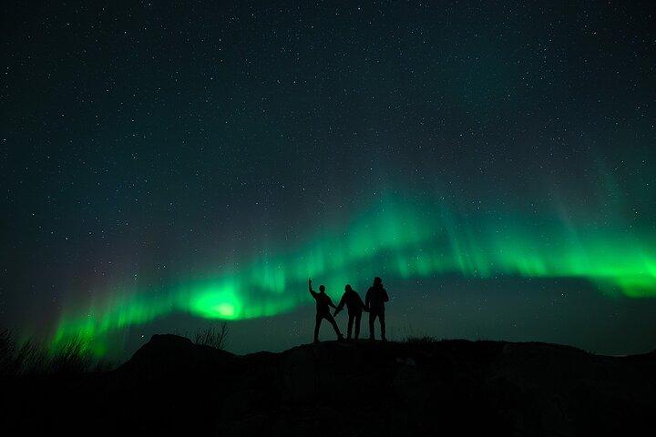 Lofoten Ultimate Aurora Hunt