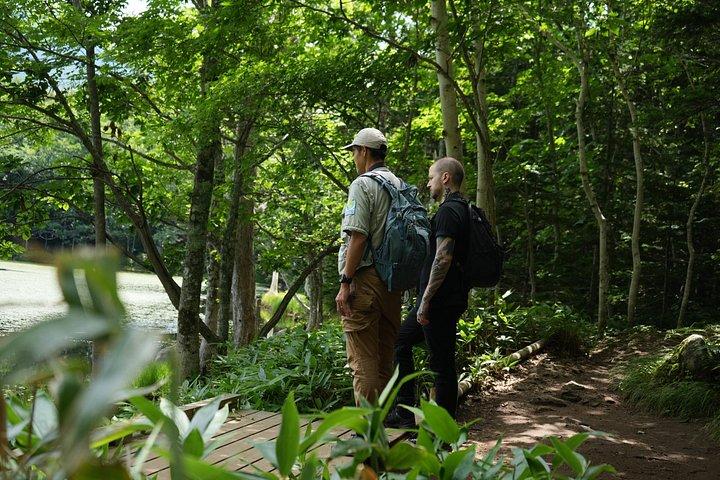 3hours Nature Guided Tour in Shiretoko Five Lakes