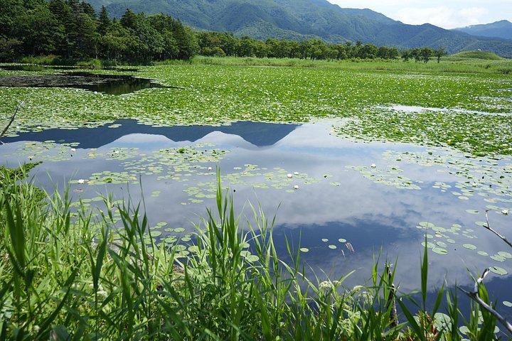 Visita guiada por la naturaleza de 3 horas en Shiretoko Five Lakes