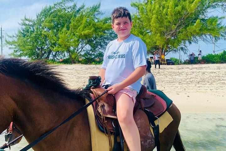 Shared Horseback Riding in Turks and Caicos