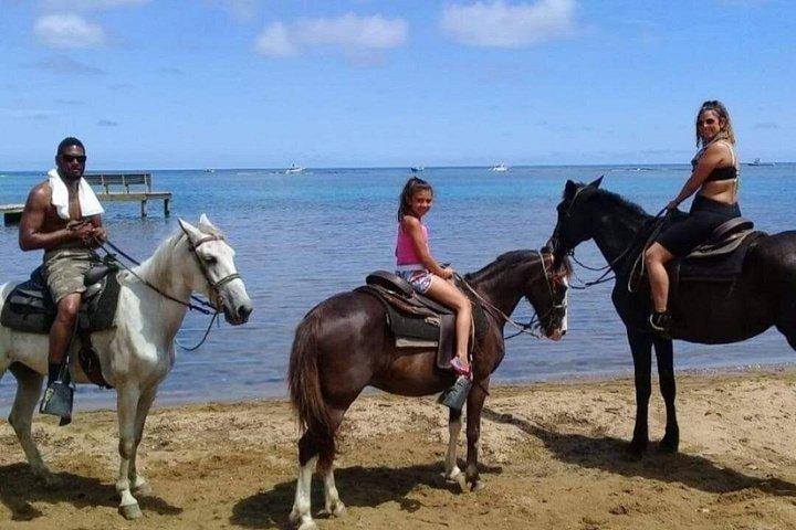 Horseback Ridding City Tour chocolate Rum Sample