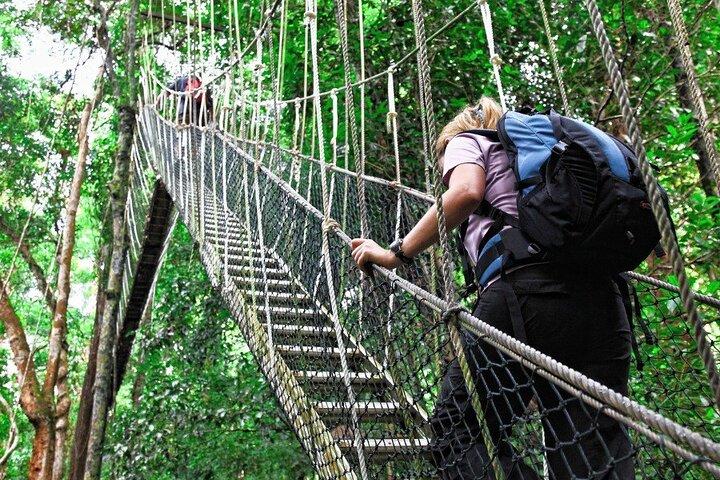 Kuala Lumpur : Taman Negara Nationalpark Trek & Boat Ride