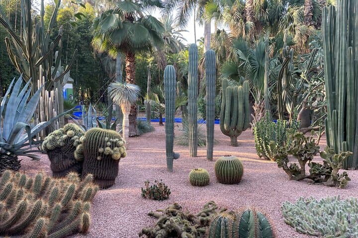 Marrakech Majorel garden entry ticket